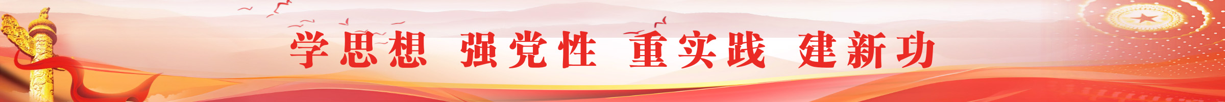 學(xué)思想 強黨性 重實踐 建新功